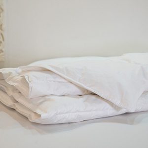 Edredon PENUGEM STANDARD EDITION | Inverno | Pato Rico